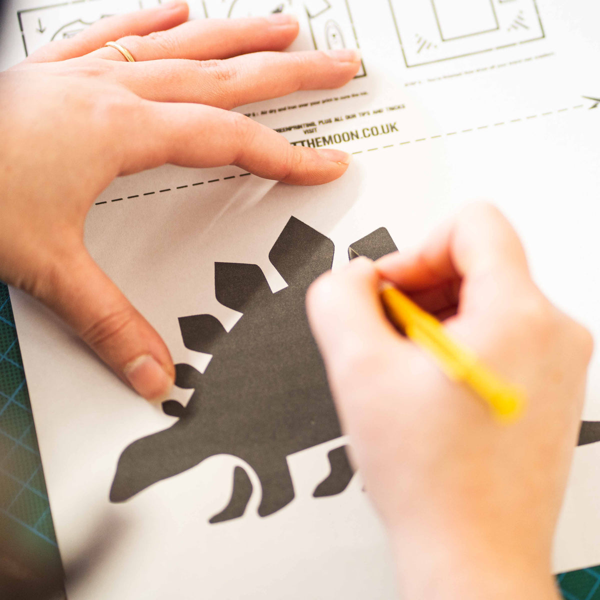 How to Screen Print Guide + Dinosaur Stencils (Free download) rawrsome-dinosaur-t-shirt-new